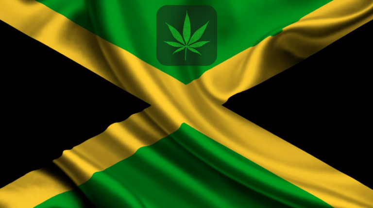 A World To My Fellow Jamaican Cannapreneurs | Ingrid Riley